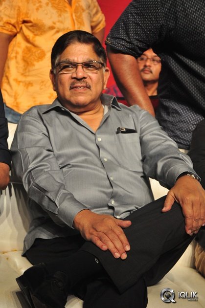 Sarrainodu-Movie-Blockbuster-Function